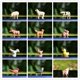 thumbnail image 1 of Farm Small Animal Model Fairy Garden Miniature Accessories DecorHorse Dog Cat Pig Chicken Duck Bird Action Figure Figurine ToysRabbit He Qiyong unisex, 1 of 1