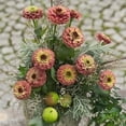 thumbnail image 3 of Zinnia Queen Red Lime Nice Garden Flower 25 Seeds, 3 of 3