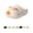 A-1, variant on Pawly Prints Shoes, Cat Paw Slippers Non-Slip, Pawly Prints Slippers
