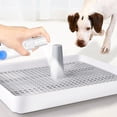 View all media