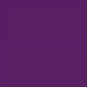 thumbnail image 4 of Playera Blusa De Capybara Con Paliacate Diseño Divertido Ropa Para Mujer Capibara Color Morado Talla Grande Marca Emil SaEs, 4 of 4