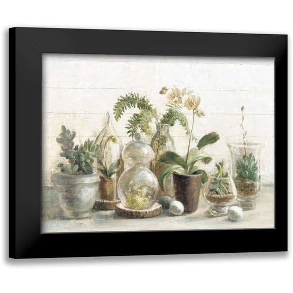 Nai, Danhui 14x12 Black Modern Framed Museum Art Print Titled - Greenhouse Orchids on Shiplap