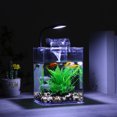 thumbnail image 4 of Small Fish Tank, Aquarium Tank with LED Light, Wall Mounted Filter, Ecological Filtration, Oxygenation And Wave Making, Square Fish Tank for Living Room, 4 of 7