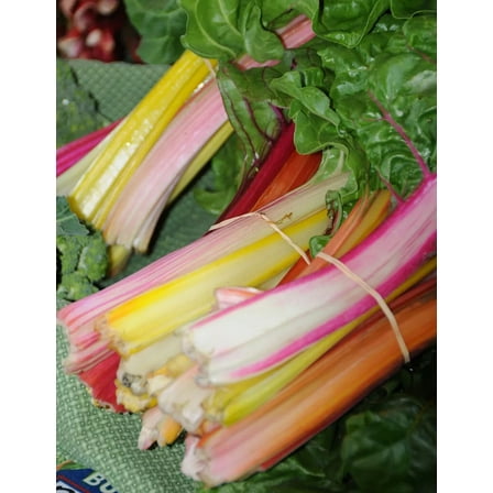 250 Rainbow Swiss Chard - Non-GMO Heirloom - Open Pollinated