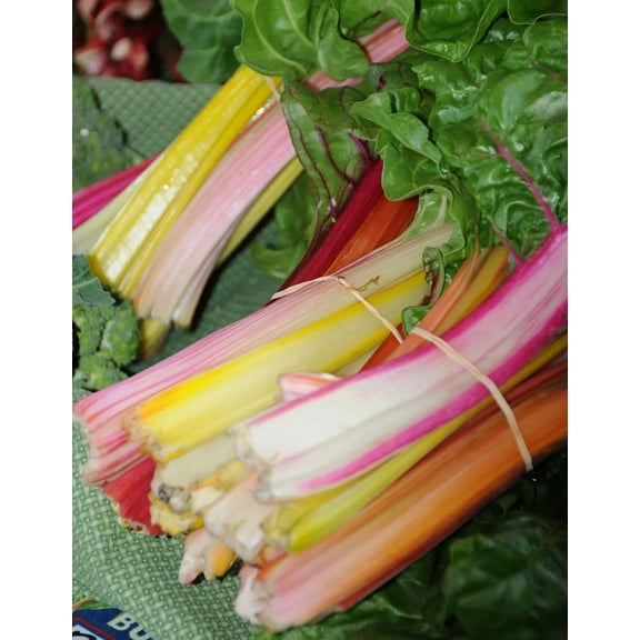 250 Rainbow Swiss Chard - Non-GMO Heirloom - Open Pollinated