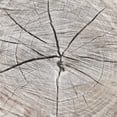 thumbnail image 3 of Grey, Jace 20x20 Black Modern Framed Museum Art Print Titled - Tree Rings, 3 of 5
