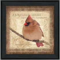 Female Cardinal by John Jones Print Wall Art Wood Multi-Color