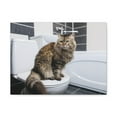 thumbnail image 2 of Cute Cat Sitting On Toilet Funny Canvas Wall Art for Home Decor Ready-to-Hand, 2 of 18