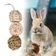 thumbnail image 2 of Juguete de conejo, bolas de hierba, juguetes para y masticar para entrenamiento de conejos, animales pequeños de jerbo, 2 of 9