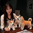 thumbnail image 4 of Jouet en Peluche Chien Akita Réaliste 25/30cm Shiba Inu Chiot Zekai, 4 of 5