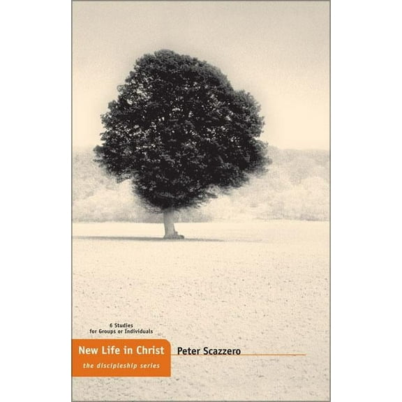 Discipleship New Life in Christ, Book 14, (Paperback)