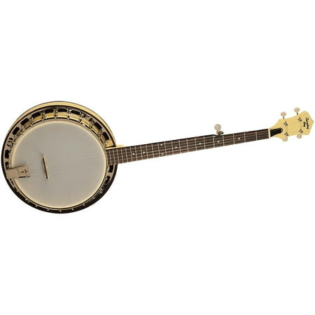 Recording King Starlight Series Resonator Banjo Sunbeam