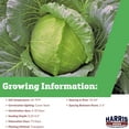 thumbnail image 2 of Harris Seeds - Cabbage Seeds - K-Y Cross Non-GMO Variety - Non-GMO - Large Heads - 50 Seeds, 2 of 7
