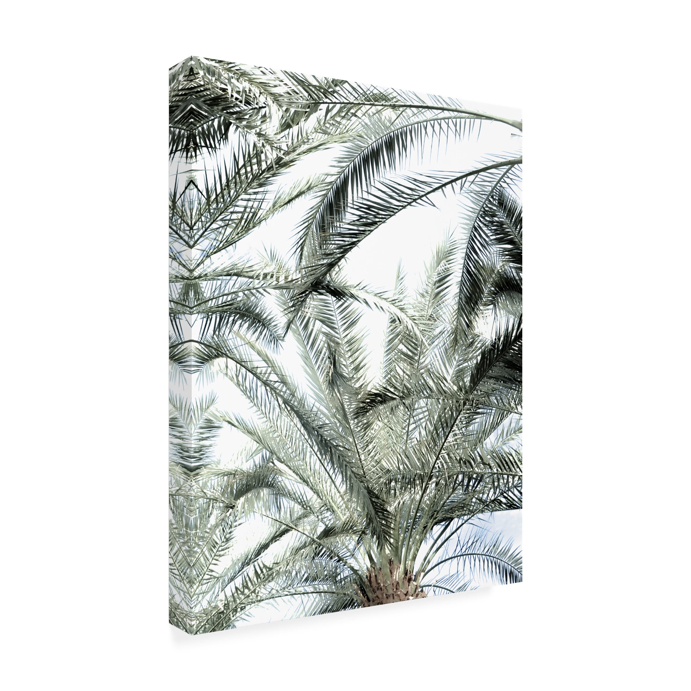 Blue Palomino 'Palm Crown' Canvas Art