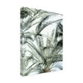 thumbnail image 2 of Blue Palomino 'Palm Crown' Canvas Art, 2 of 3