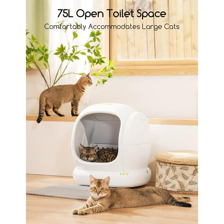 Catolet smart automatic litter box best sale