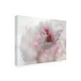 thumbnail image 2 of Gillian Hunt 'Hope in Pink I' Canvas Art, 2 of 3