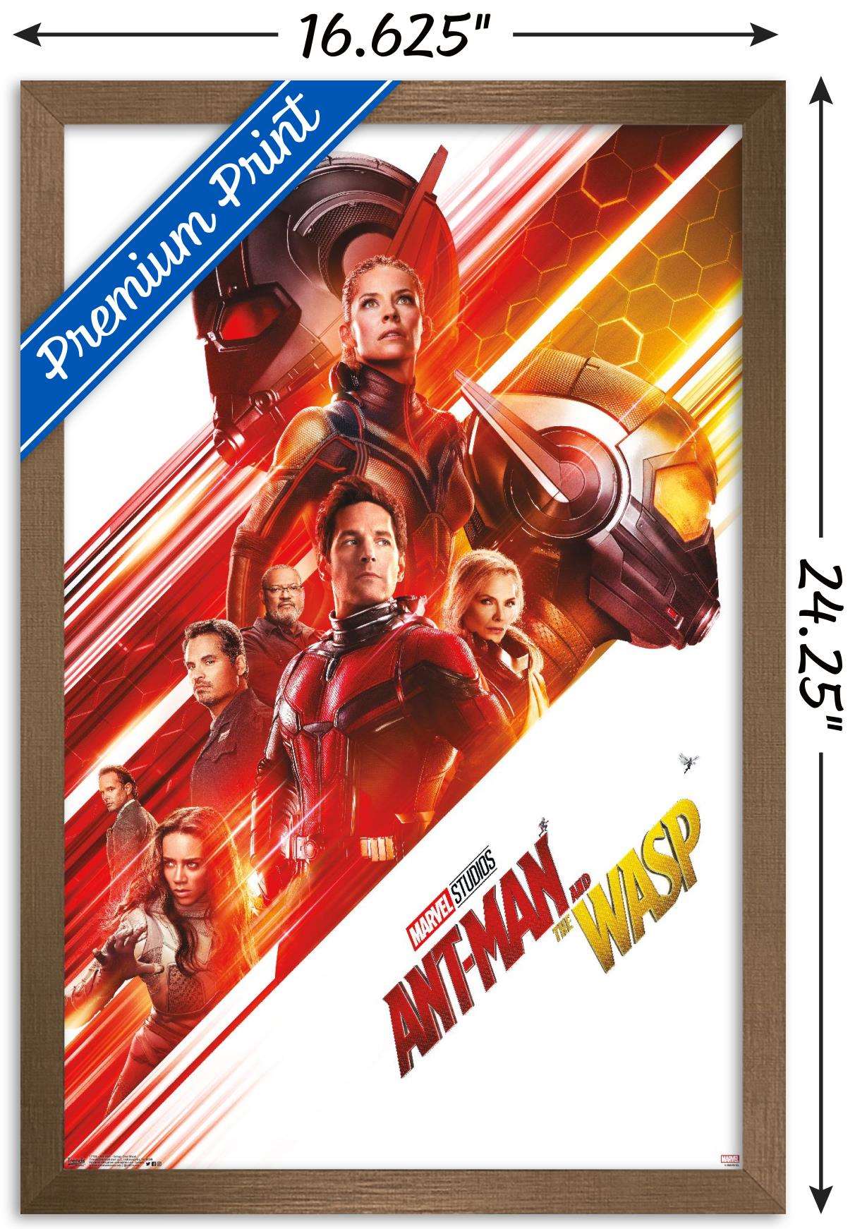 Marvel Cinematic Universe - Ant-Man - Group One Sheet Wall Poster, 14.725" x 22.375", Framed