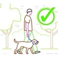 thumbnail image 4 of T-Shaped Anti-Pull Leash/Collar/Hood (Red) - One Size - Super Soft Braided Nylon - With Installation Instructions - Comfortable, K, 4 of 5