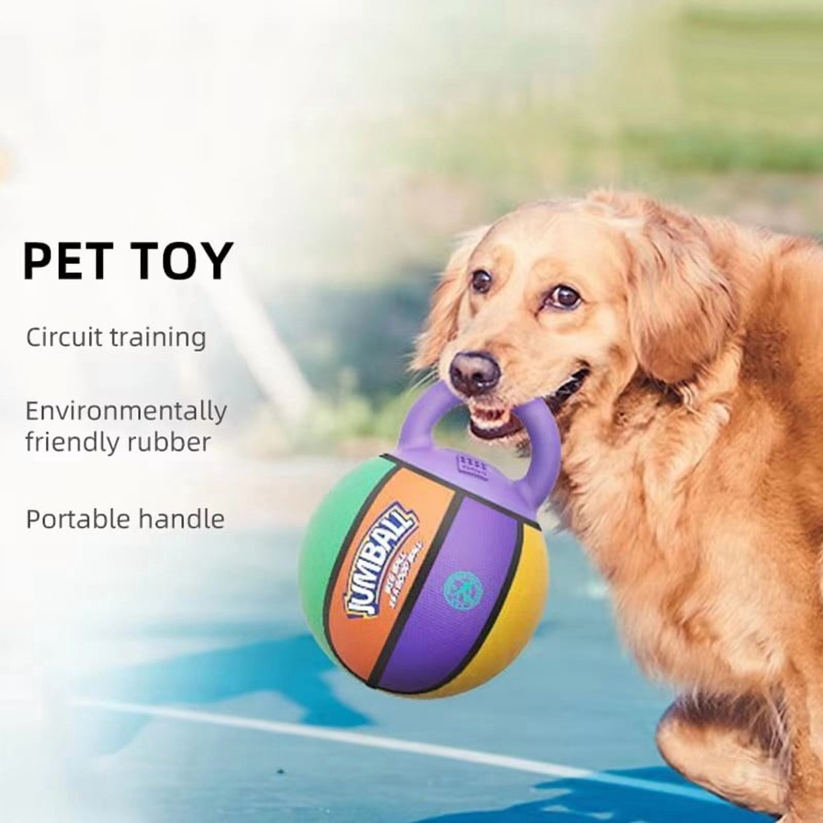 GiGwi Jumball Rubber Basketball Dog Toy with Handle High Visability Throw Fetch Toy Dog Ball