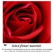 thumbnail image 5 of Joyero de Rosas con Cubierta Acrílica Transparente | Cajón para Guardar Collares, Anillos y Pulseras | Elegante Caja de Regalo con Lazo para Navidad, Cumpleaños y Regalos para Mujeres, 5 of 6