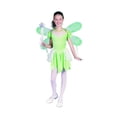 thumbnail image 1 of PIXIE-NIÑO MEDIANO, CORTO RG Costumes 91210-M, 1 of 1
