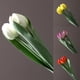 thumbnail image 5 of Gwong Decoración hogareña 1 Ramo Lustroso Floya Falsable Flexible Color Brillante 3 Cabezal Túres Real Tulipanes Artificiales Decoración para el hogar Gwong 21082907, 5 of 6