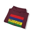 thumbnail image 4 of Mauritius Mauritians Pride Flag Hoodie, Gifts, Hooded Sweatshirt, 4 of 4