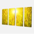 thumbnail image 2 of Yellow Grass Flower at Sunset - Landscape Canvas Art Print, 2 of 3