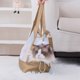 thumbnail image 1 of pstuiky Bolsa de malla de nailon transparente para gatos portátil plegable y de mano., 1 of 6