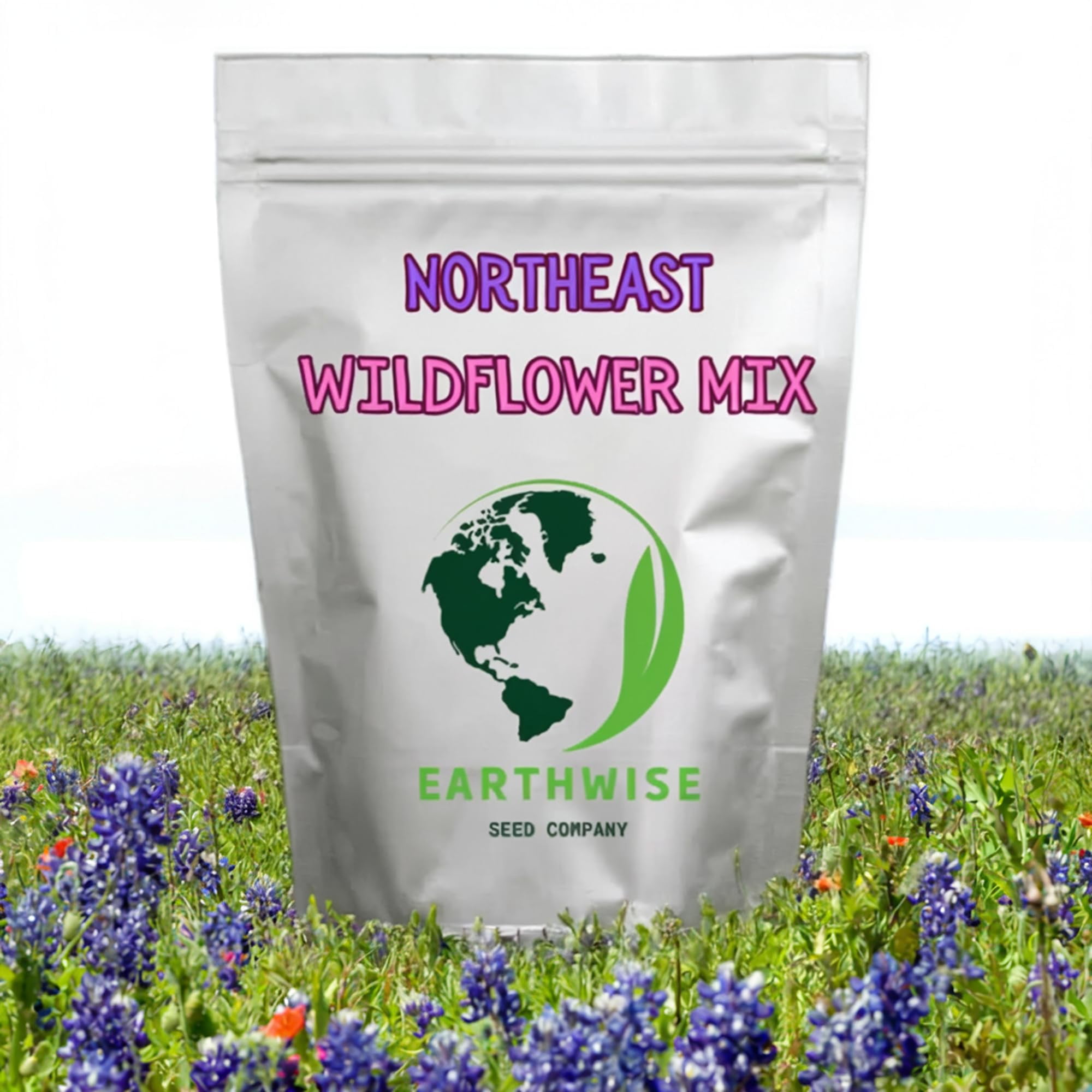 Earthwise Seed Company Northeast Native Wildflower Seed Grass Seeds, 1 lb - Hardy, Covers 2000 Sq. ft.