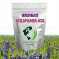 thumbnail image 3 of Earthwise Seed Company Northeast Native Wildflower Seed Grass Seeds, 1 lb - Hardy, Covers 2000 Sq. ft., 3 of 10