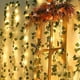 thumbnail image 4 of Luces De Cadena Guirnalda de luces solares de 2 m y 20 LED, hojas de arce artificiales de ratán verde, para decoración de exteriores, para jardín, boda, una sola pieza Rkxzt, 4 of 9