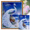 thumbnail image 1 of Kit Punto Cruz Pavo Real Impreso Hilo Algodón Ecológico Bordado 14CT 50x65cm, 1 of 9