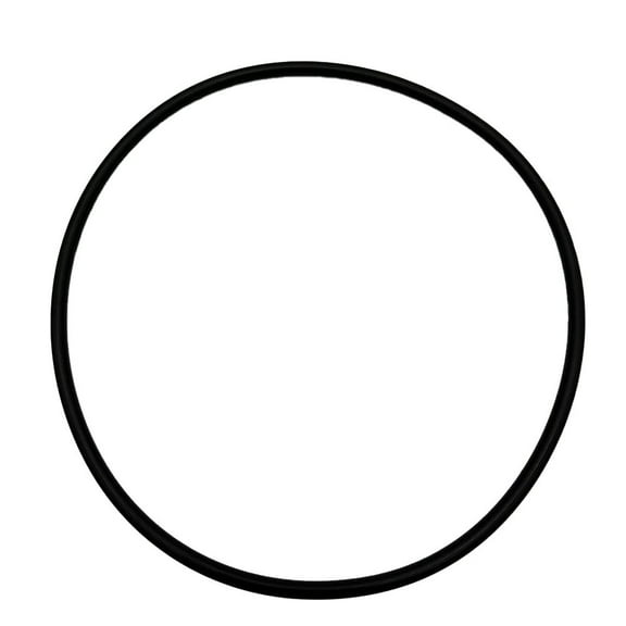 Heavy Duty O Rings For Pool Filter Maintenance Quality Rubber Material