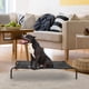 thumbnail image 4 of Cama para perros desmontable hamaca transpirable cama para perros elevada cachorro cama para dormir, 4 of 6