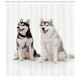 thumbnail image 3 of Ambesonne Alaskan Malamute Shower Curtain, Furry Doggies, 69"Wx70"L, Black Cream White, 3 of 3