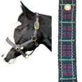 thumbnail image 3 of Intrepid International 128001HT Plaid Nylon Padded Horse Halter with Solid Brass Hardware, Hunter Green & Tan, 3 of 3