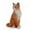 Style#D, variant on Miniature Cats Decor Figurines - Cute Animal Accessories for Micro Landscaping & Fairy Gardens, Home Ornament and Kids Gifts