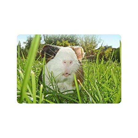 Mkhert Guinea Pig Dutch Rats Doormat Rug Home Decor Floor Mat Bath