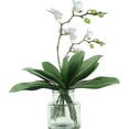 thumbnail image 3 of Artificial Green Phalaenopsis Moth Orchid Leaf Real Latex Touch Green Plant for Flowers Garden Bonsai Decor (5, 9.5"/5 Leaves), 3 of 5