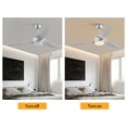 thumbnail image 2 of Wildnix Ceiling Fan Light with 6-Speed Adjustable Wind, Remote Control, LED Light with White, Warm, and Neutral Settings, Quiet Pure Copper Motor, 2 of 7