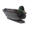 thumbnail image 1 of Adornos de flotantes de agua Gloria señuelo Pato Mallard, 1 of 9