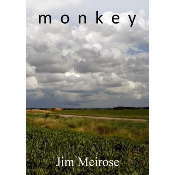 Pre-Owned Monkey (Paperback) 0988782006 9780988782006