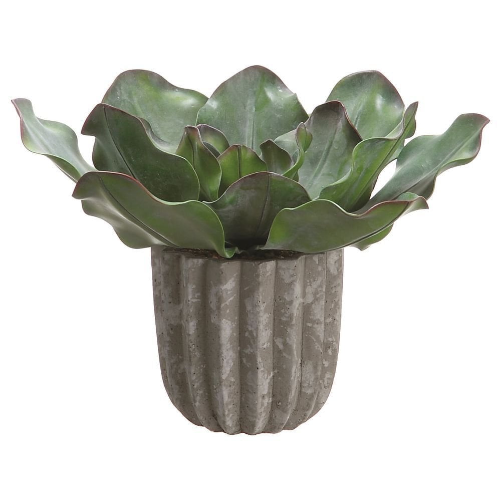 Green Plastic Cabbage Succulent Plant in Pot 8 1/5"H By ALLSTATE