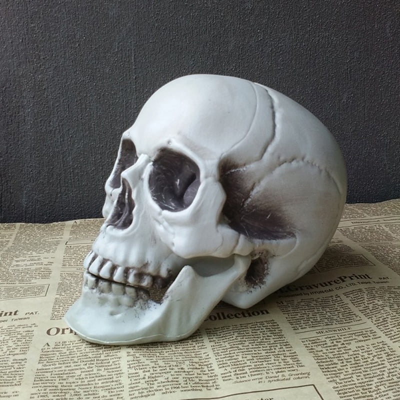 Halloween  Artificial Skull Head Model Skull Bone Scary Horror Skeleton OrnameBK