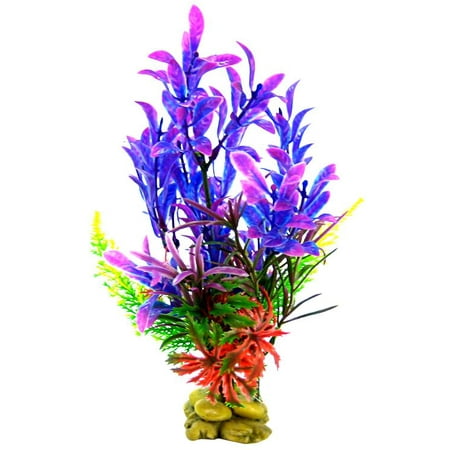 Aquatic Creations Hygrophilia Aquarium Plant - Blue/Purple 8\