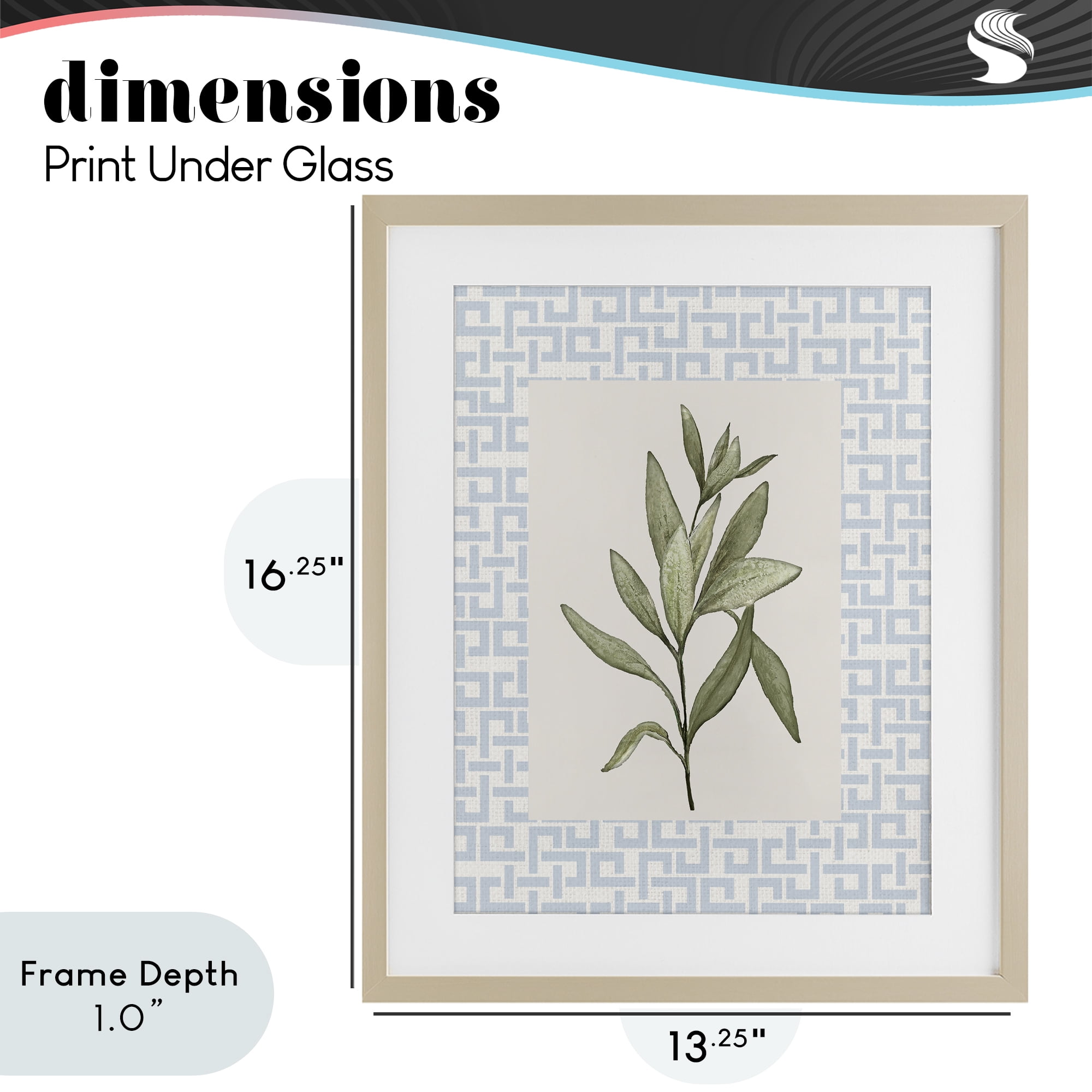 Stupell Industries Leafy Fresh Herb Birch Framed Print Under Glass, design by Diannart