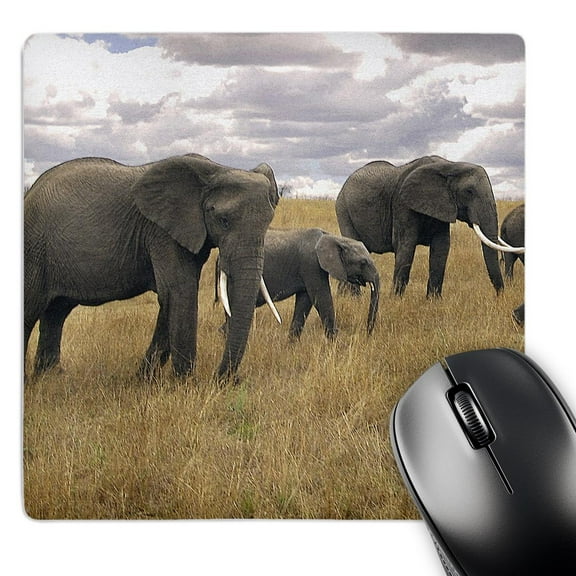 3dRose, African elephant, Loxodonta africana, Masai Mara National Park Kenya Africa 5, MousePad