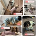 thumbnail image 5 of UOSIA Dachshund Dog Shirt, Thin Striped Base Layer Onesie for Dogs, Lightweight Soft & Comfy Fit for Mini Dachshund, 5 of 6
